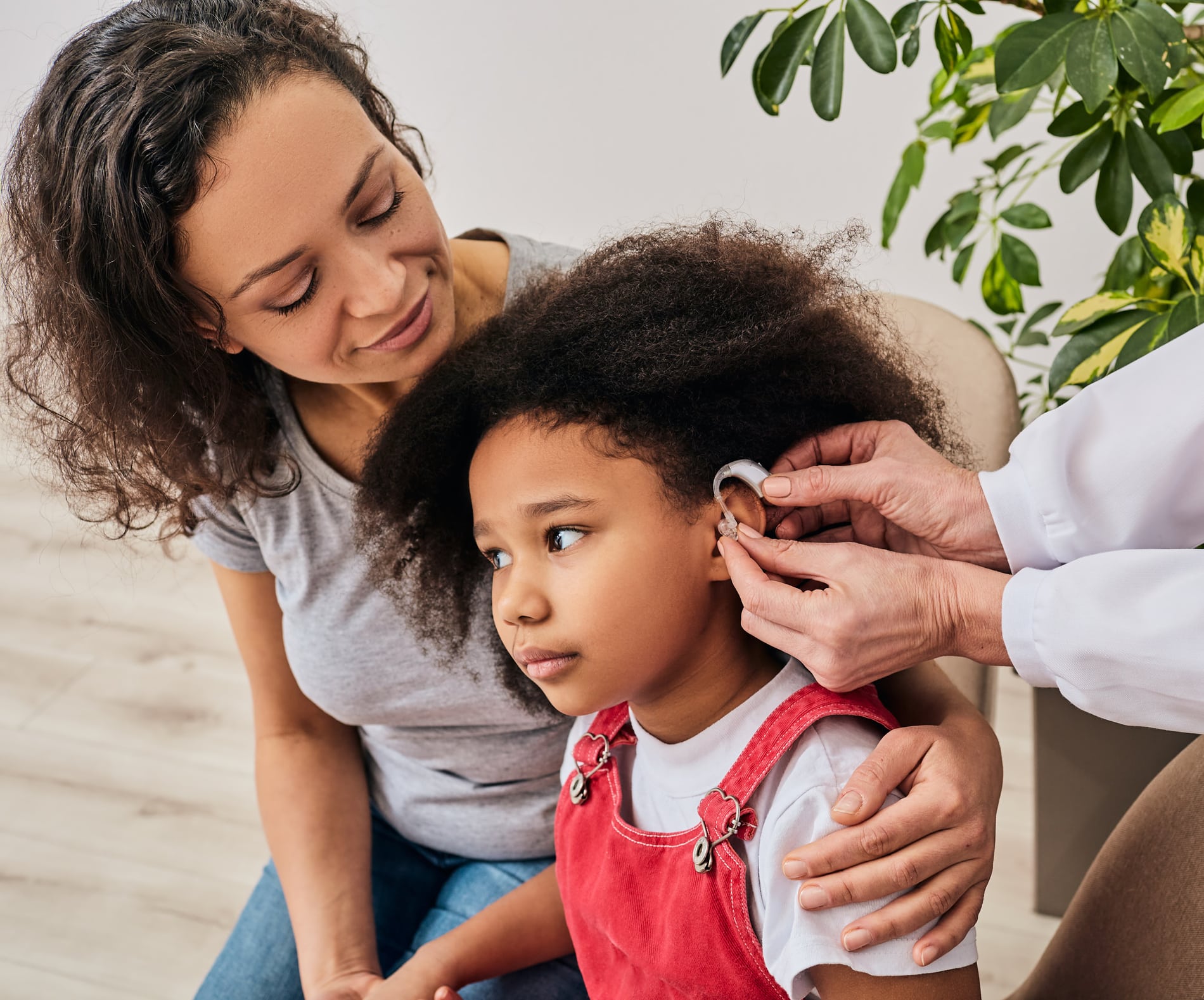 Professional hearing assessment